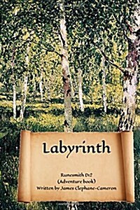 Labyrinth: Runesmith D12 (Adventure Book) (Paperback)