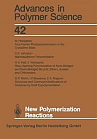 New Polymerization Reactions (Paperback, Softcover Repri)