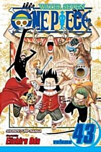 [중고] One Piece, Volume 43: Legend of a Hero (Paperback)