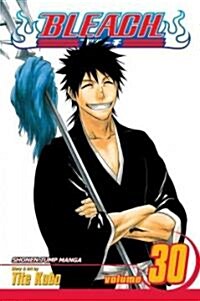 Bleach, Vol. 30 (Paperback)