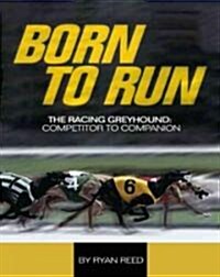 Born to Run: The Racing Greyhound from Competitor to Companion (Paperback)