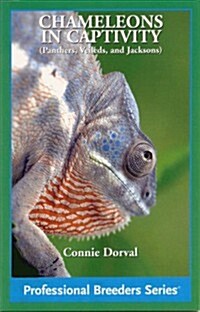 Chameleons in Captivity (Professional Breeders Series) (Paperback)