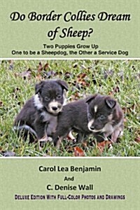 Do Border Collies Dream of Sheep? Full Color Edition (Paperback)