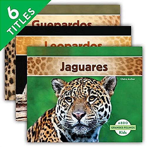 Grandes Felinos (Big Cats) (Spanish Version) (Set) (Hardcover)