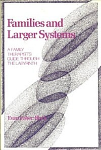 Families and Larger Systems: A Family Therapists Guide through the Labyrinth (Hardcover)