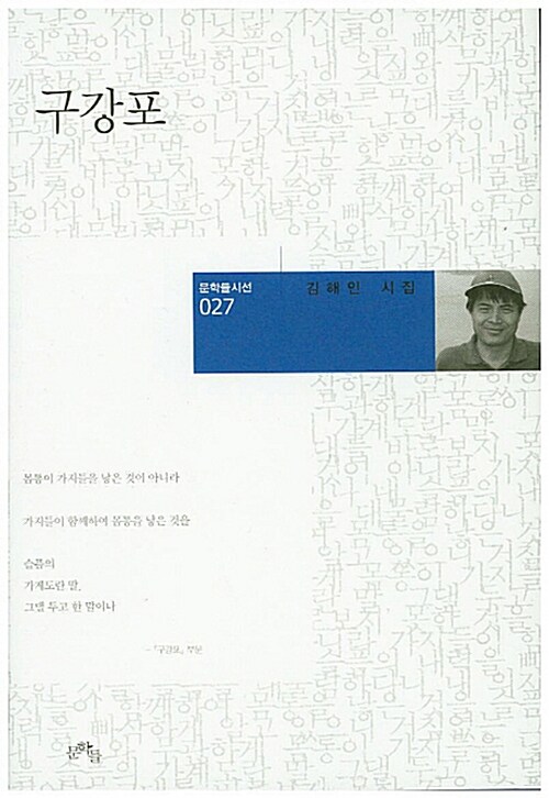 구강포 : 김해인 시집 표지이미지