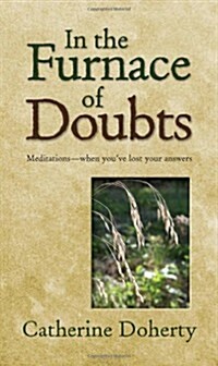 In the Furnace of Doubts (Paperback)