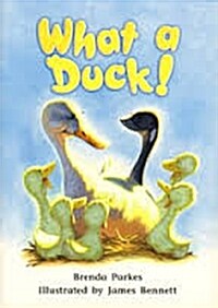 Rigby Literacy by Design: Small Book Grade 1 What a Duck! (Paperback)