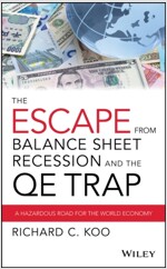 The Escape from Balance Sheet Recession and the Qe Trap: A Hazardous Road for the World Economy (Hardcover)