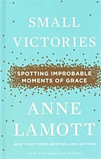 Small Victories: Spotting Improbable Moments of Grace (Hardcover)