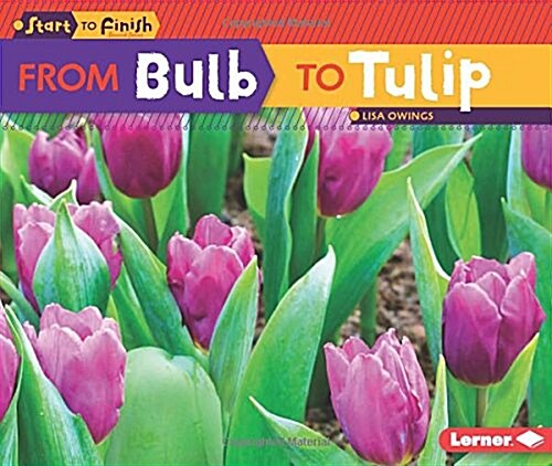 From Bulb to Tulip (Library Binding)