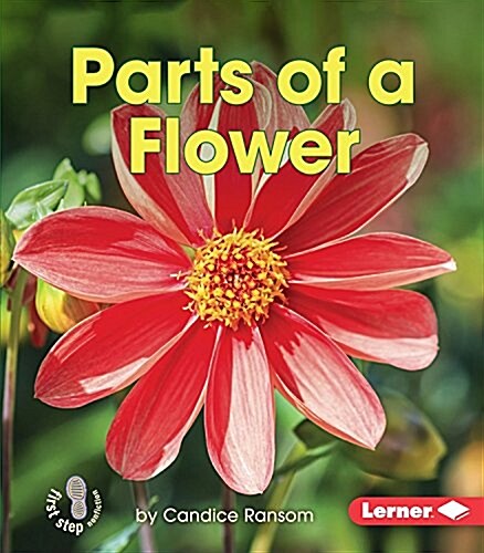 Parts of a Flower (Paperback)