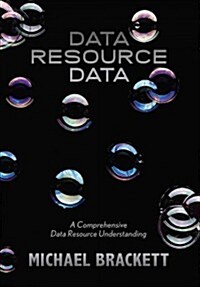 Data Resource Data: A Comprehensive Data Resource Understanding (Paperback, 2)