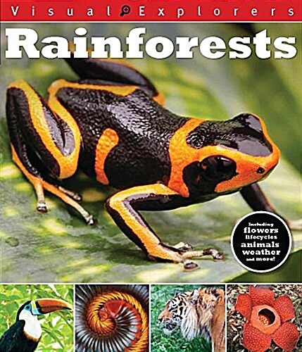 Rainforests (Paperback)