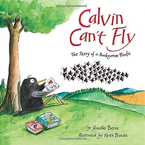 Calvin Cant Fly: The Story of a Bookworm Birdie (Paperback)