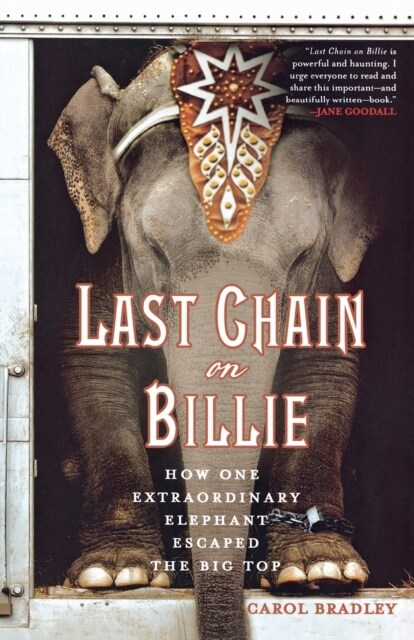 Last Chain on Billie: How One Extraordinary Elephant Escaped the Big Top (Paperback)