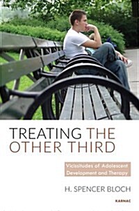 Treating The Other Third : Vicissitudes of Adolescent Development and Therapy (Paperback)