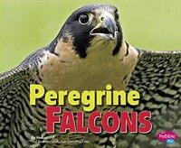 Peregrine Falcons (Library Binding)