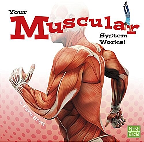Your Muscular System Works! (Hardcover)