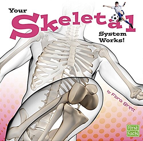 Your Skeletal System Works! (Paperback)