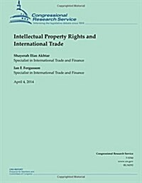 Intellectual Property Rights and International Trade (Paperback)