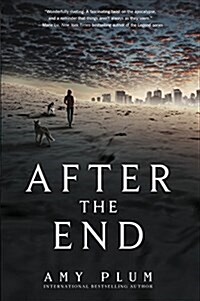 After the End (Paperback)