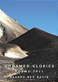 Unnamed Glories: Poems 2011 (Paperback)