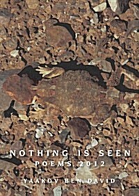 Nothing Is Seen: Poems 2012 (Paperback)