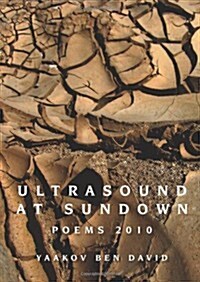 Ultrasound at Sundown: Poems 2010 (Paperback)