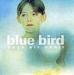 [중고] Boys Air Choir - Blue Bird