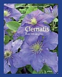 Clematis : Over 100 Varieties (Hardcover)