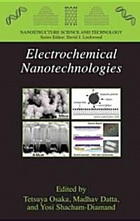 Electrochemical Nanotechnologies (Hardcover)
