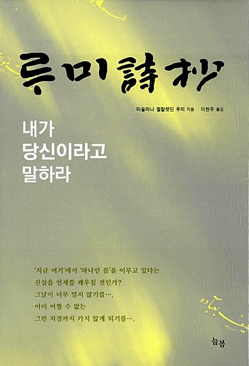 루미詩抄 : 내가 당신이라고 말하라 표지이미지