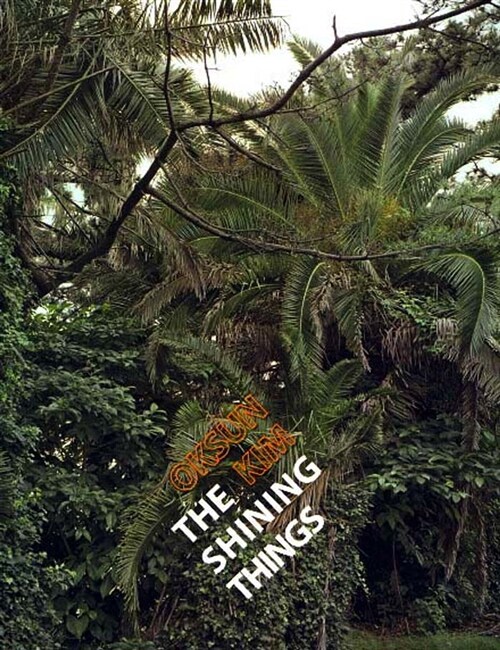The Shining Things