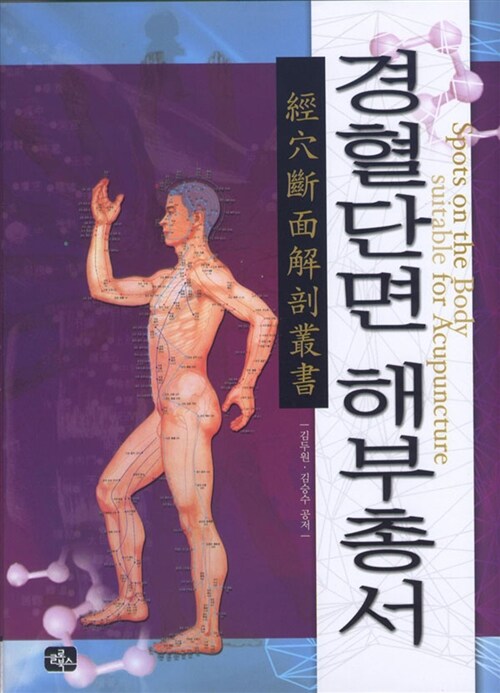 경혈단면 해부총서