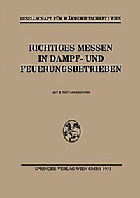 Richtiges Messen in Dampf- Und Feuerungsbetrieben (Paperback)