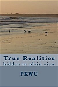 True Realities: Hidden in Plain View (Paperback)