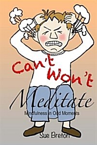 Cant Meditate, Wont Meditate: Mindfulness in Odd Moments (Paperback)