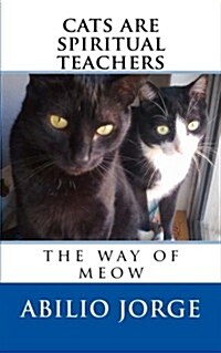 Cats Are Spiritual Teachers (Paperback)