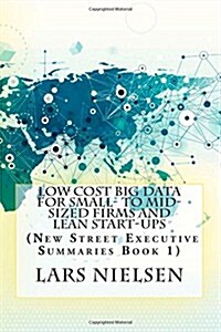 Low Cost Big Data for Small- to Mid-sized Firms and Lean Start-ups (Paperback)