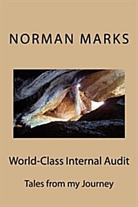 World-Class Internal Audit: Tales from My Journey (Paperback)