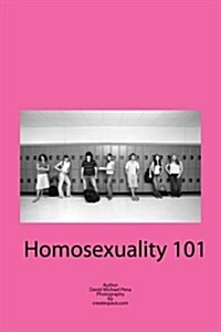 Homosexuality 101 (Paperback, Large Print)