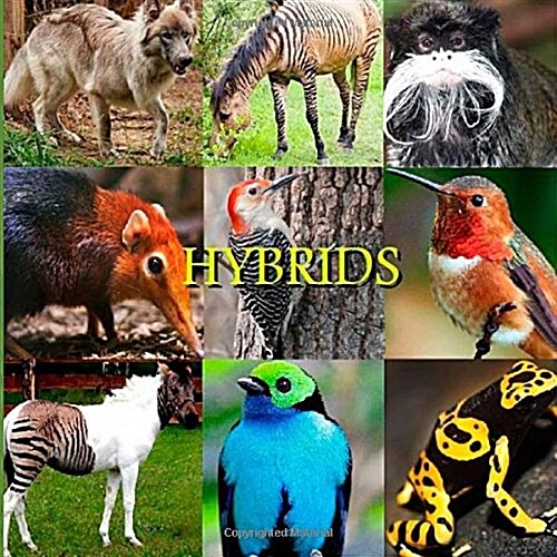 Hybrids (Paperback)