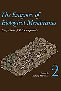 The Enzymes of Biological Membranes: Volume 2 Biosynthesis of Cell Components (Paperback, Softcover Repri)