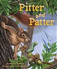 Pitter and Patter (Hardcover)