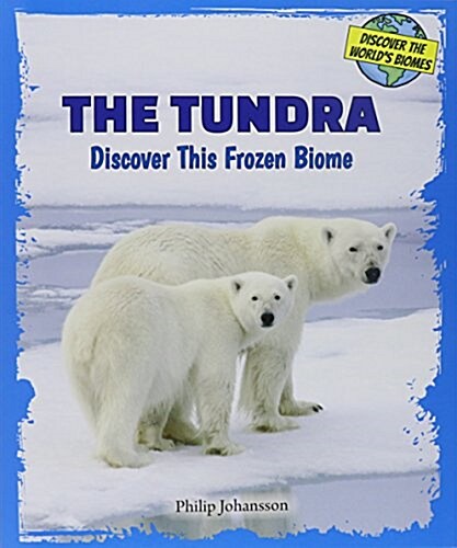 The Tundra: Discover This Frozen Biome (Paperback)