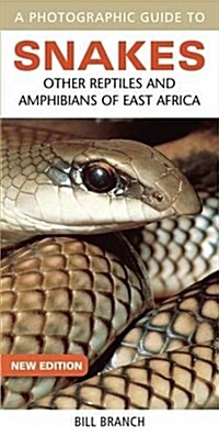 A Photographic Guide to Snakes: Other Reptiles and Amphibians of East Africa (Paperback)