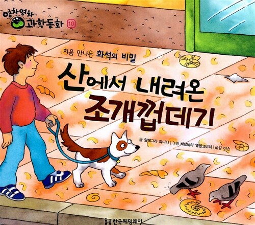 산에서 내려온 조개껍데기