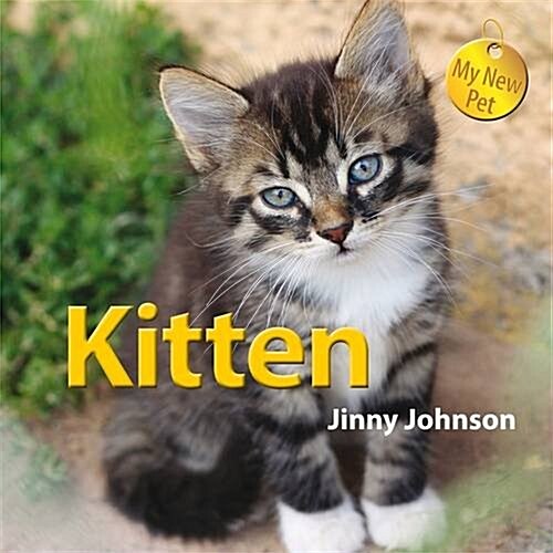 My New Pet: Kitten (Paperback, Illustrated ed)