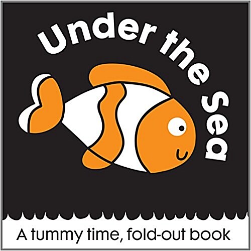 First Focus Animals Under the Sea (Board Book)